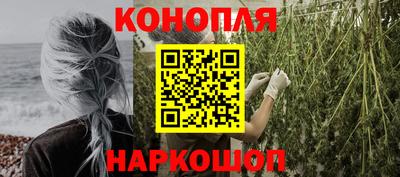 mdma Гатчина