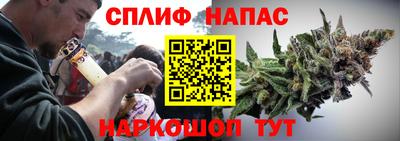 mdma Гатчина